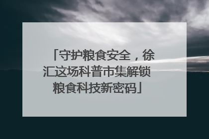 守护粮食安全，徐汇这场科普市集解锁粮食科技新密码