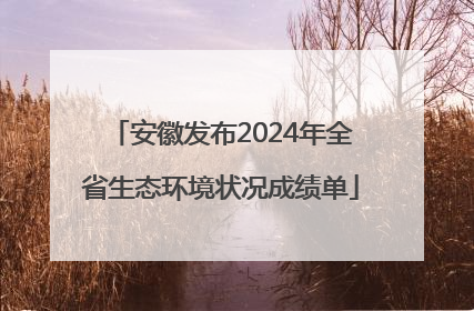 安徽发布2024年全省生态环境状况成绩单