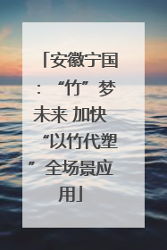 安徽宁国：“竹”梦未来 加快“以竹代塑”全场景应用