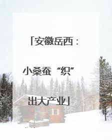 安徽岳西：小桑蚕“织”出大产业