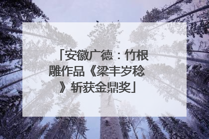 安徽广德：竹根雕作品《梁丰岁稔》斩获金鼎奖