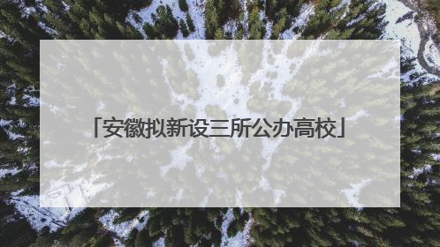 安徽拟新设三所公办高校