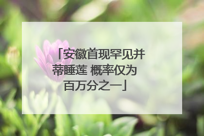 安徽首现罕见并蒂睡莲 概率仅为百万分之一