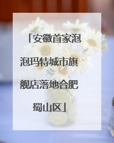 安徽首家泡泡玛特城市旗舰店落地合肥蜀山区