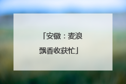 安徽：麦浪飘香收获忙