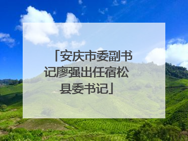 安庆市委副书记廖强出任宿松县委书记