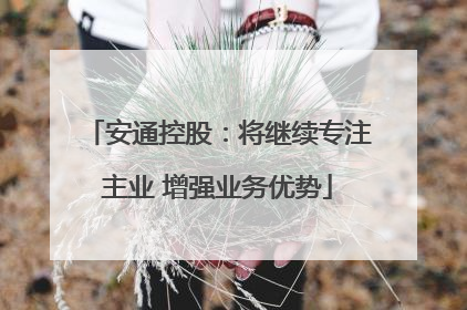 安通控股：将继续专注主业 增强业务优势