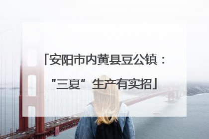 安阳市内黄县豆公镇：“三夏”生产有实招