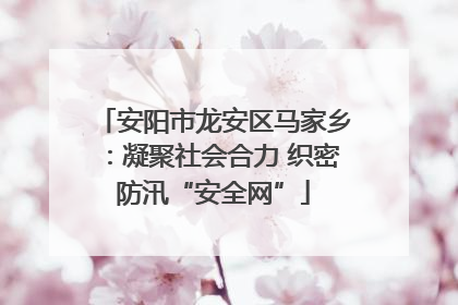 安阳市龙安区马家乡：凝聚社会合力 织密防汛“安全网”