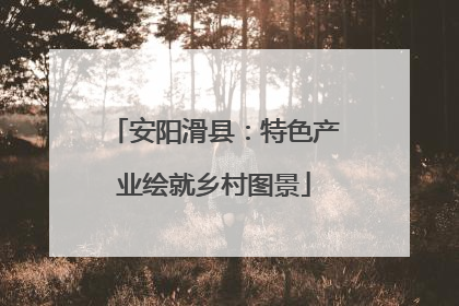 安阳滑县:特色产业绘就乡村图景