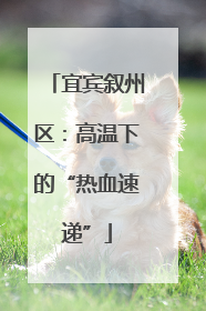 宜宾叙州区：高温下的“热血速递”
