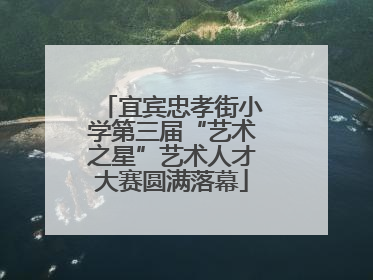 宜宾忠孝街小学第三届“艺术之星”艺术人才大赛圆满落幕