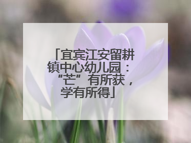 宜宾江安留耕镇中心幼儿园：“芒”有所获，学有所得