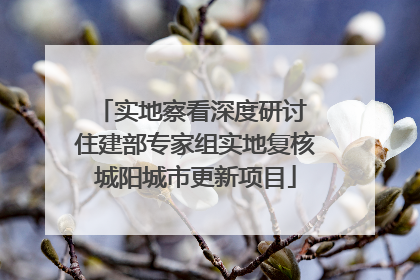 实地察看深度研讨 住建部专家组实地复核城阳城市更新项目