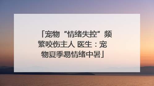 宠物“情绪失控”频繁咬伤主人 医生：宠物夏季易情绪中暑