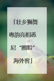 壮乡狮舞粤韵亮相悉尼“圈粉”海外客