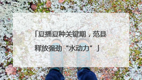 夏播夏种关键期，范县释放强劲“水动力”