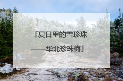 夏日里的雪珍珠——华北珍珠梅