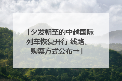 夕发朝至的中越国际列车恢复开行 线路、购票方式公布→