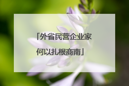 外省民营企业家何以扎根商南