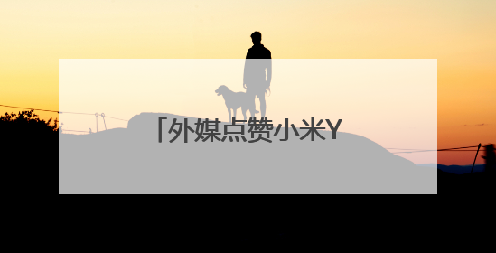 外媒点赞小米YU7：“特斯拉迎来最强挑战者”