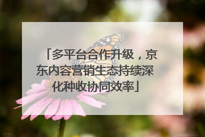 多平台合作升级，京东内容营销生态持续深化种收协同效率