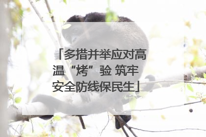 多措并举应对高温“烤”验 筑牢安全防线保民生