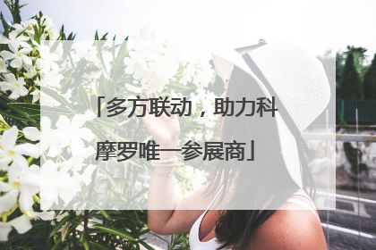 多方联动，助力科摩罗唯一参展商