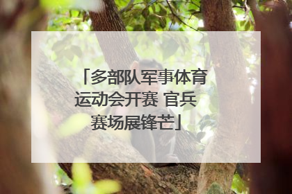 多部队军事体育运动会开赛 官兵赛场展锋芒