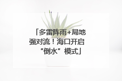 多雷阵雨+局地强对流！海口开启“倒水”模式