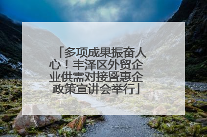 多项成果振奋人心！丰泽区外贸企业供需对接暨惠企政策宣讲会举行