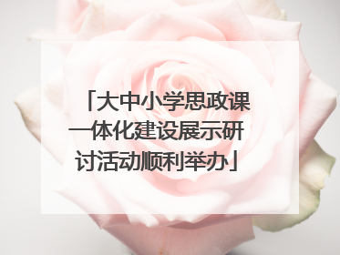大中小学思政课一体化建设展示研讨活动顺利举办