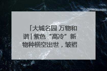 大城名园 万物和谐│紫色“高冷”新物种横空出世，皱褶叶片暗藏进化密码