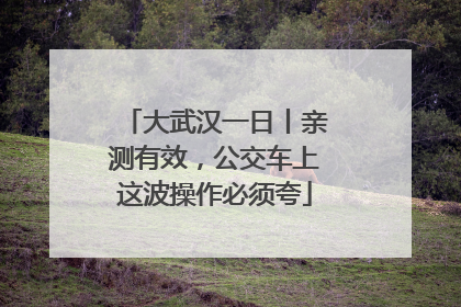 大武汉一日丨亲测有效，公交车上这波操作必须夸