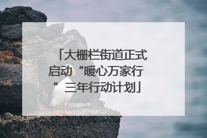 大栅栏街道正式启动“暖心万家行”三年行动计划
