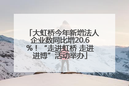 大虹桥今年新增法人企业数同比增20.6%！“走进虹桥 走进进博”活动举办