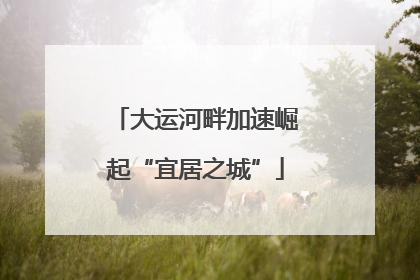 大运河畔加速崛起“宜居之城”