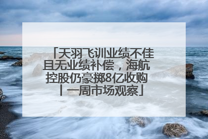 天羽飞训业绩不佳且无业绩补偿，海航控股仍豪掷8亿收购丨一周市场观察