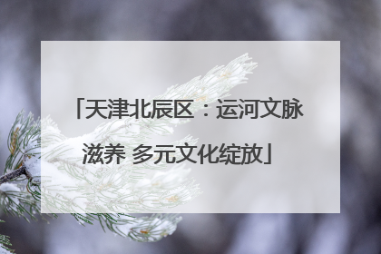 天津北辰区：运河文脉滋养 多元文化绽放