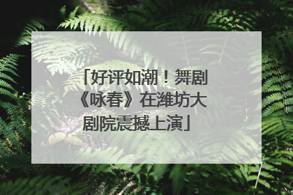 好评如潮！舞剧《咏春》在潍坊大剧院震撼上演
