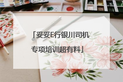 妥妥E行银川司机专项培训超有料