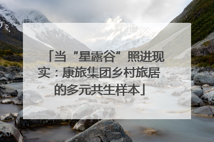 当“星露谷”照进现实：康旅集团乡村旅居的多元共生样本