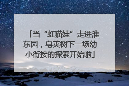 当“虹猫娃”走进淮东园，皂荚树下一场幼小衔接的探索开始啦