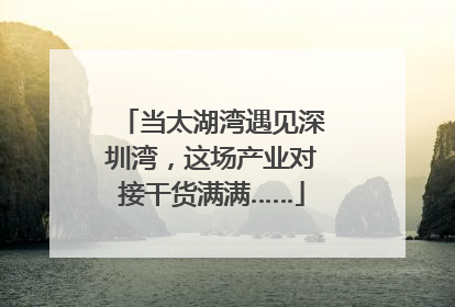 当太湖湾遇见深圳湾，这场产业对接干货满满……