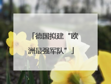 德国拟建“欧洲最强军队”