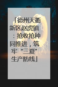德州天衢新区赵虎镇：抢收抢种同推进，筑牢“三夏”生产防线