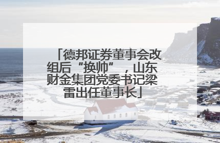 德邦证券董事会改组后“换帅”，山东财金集团党委书记梁雷出任董事长