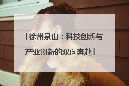 徐州泉山：科技创新与产业创新的双向奔赴