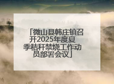 微山县韩庄镇召开2025年度夏季秸秆禁烧工作动员部署会议
