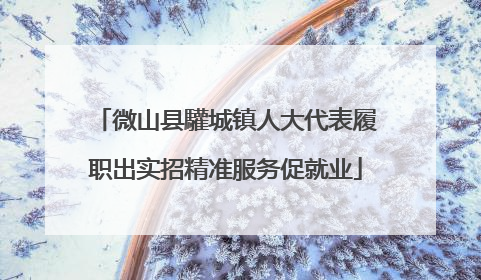 微山县驩城镇人大代表履职出实招精准服务促就业